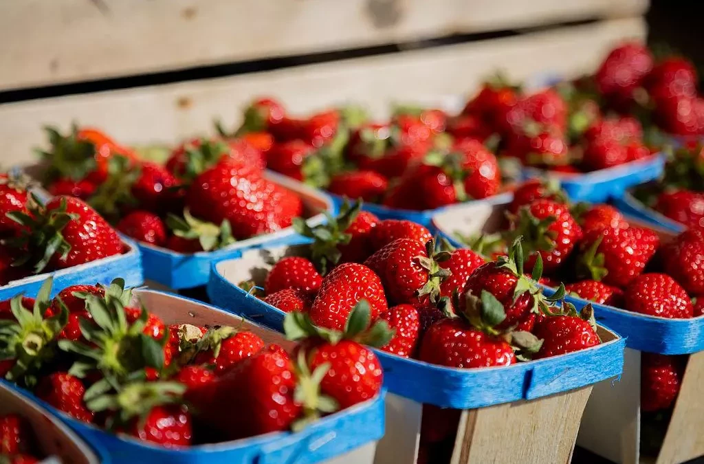 Fête des fraises à Carros 2026 : un événement gourmand à ne pas manquer