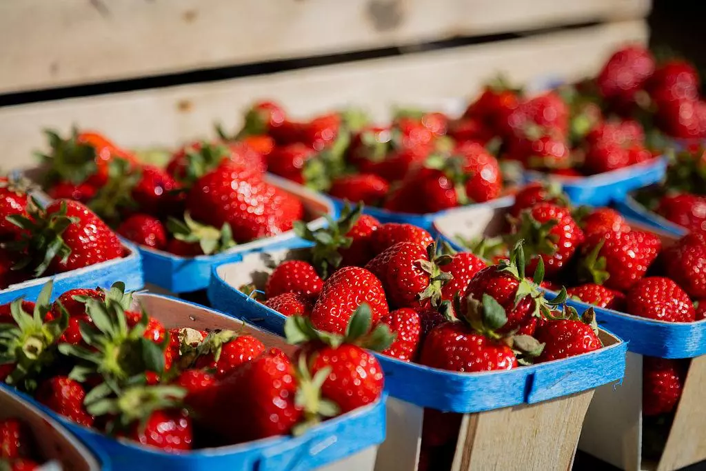 fête des fraises Carros 2026 ambiance provençale Alpes-Maritimes
