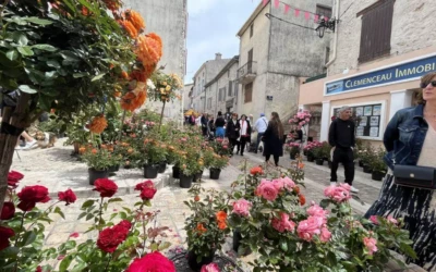 Rose Festival in La Colle-sur-Loup 2026: a floral event in the heart of the French Riviera