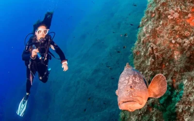 Les plus beaux spots de plongée sous-marine sur la Côte d’Azur