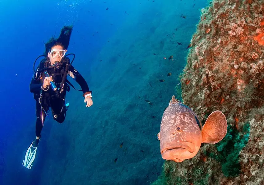 Plongée sous-marine sur la Côte d’Azur dans les eaux turquoise des Alpes-Maritimes