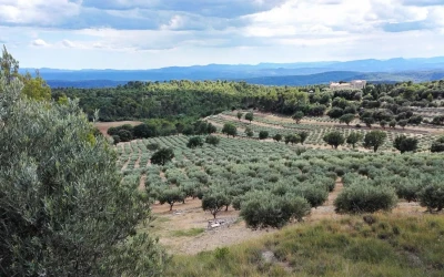 Escapade en campagne azuréenne : loin de la foule, tout près de la mer