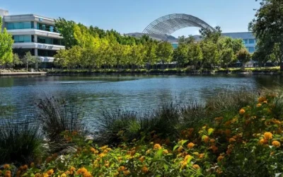 Sophia Antipolis : que faire après une journée de travail sur la Côte d’Azur ?