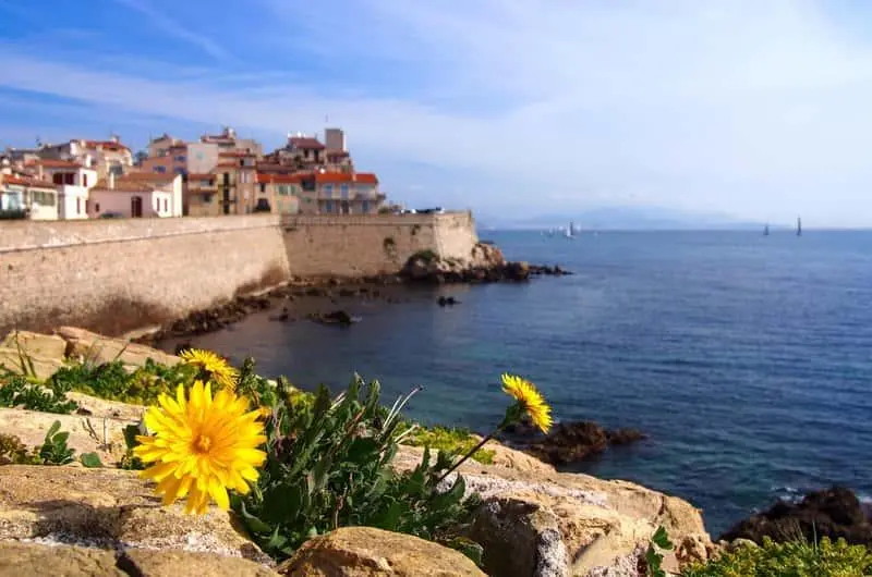 Le printemps en mars sur la Côte d’Azur Amandiers en fleur dans les collines de l'arrière-pays azuréen au mois de mars