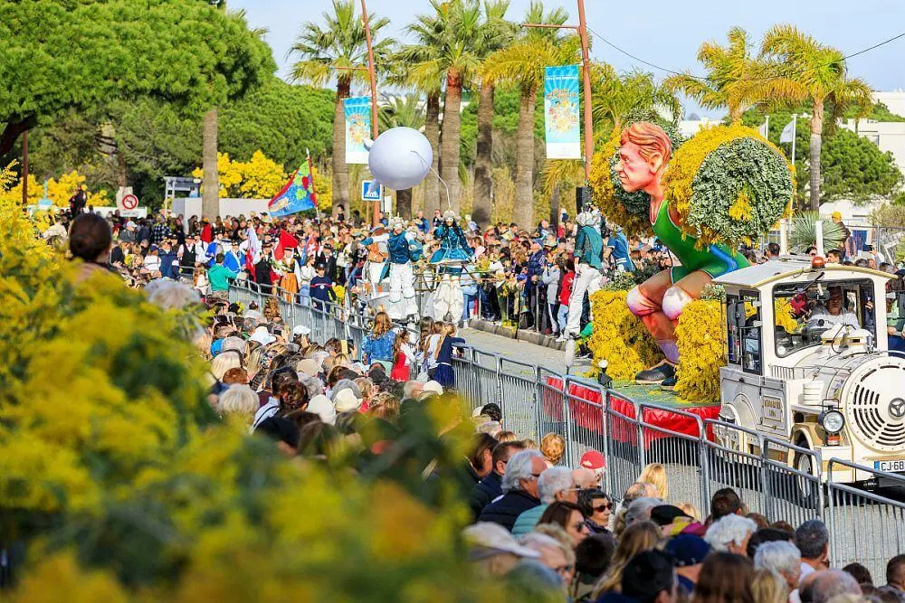La Fête du Mimosa de Mandelieu-la-Napoule Char couvert de mimosa lors du grand corso fleuri de la Fête du Mimosa à Mandelieu-la-Napoule